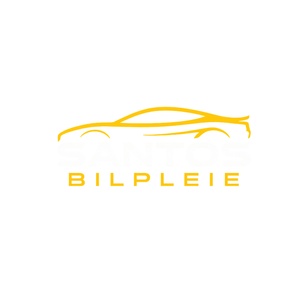 SANTOS BILPLEIE
